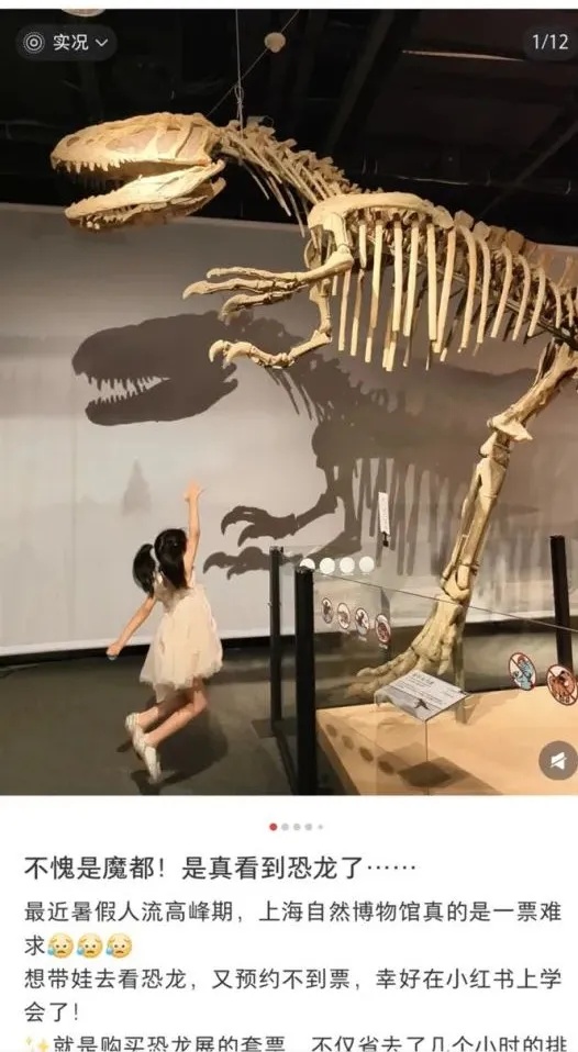 上海热门场馆太乱！多名儿童翻越禁区，家长在旁鼓励！志愿者：以前还有活体被摸死