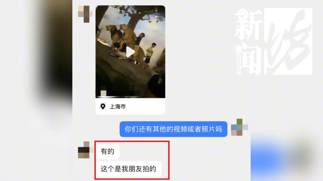 上海热门场馆太乱！多名儿童翻越禁区，家长在旁鼓励！志愿者：以前还有活体被摸死
