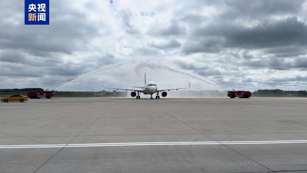 国宝“兄弟”冰城安家！大熊猫“芝士”“芝麻”顺利抵达哈尔滨