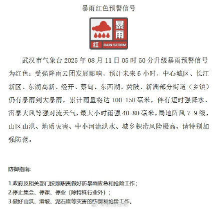 狂风暴雨一整晚！今早的武汉是这样的——