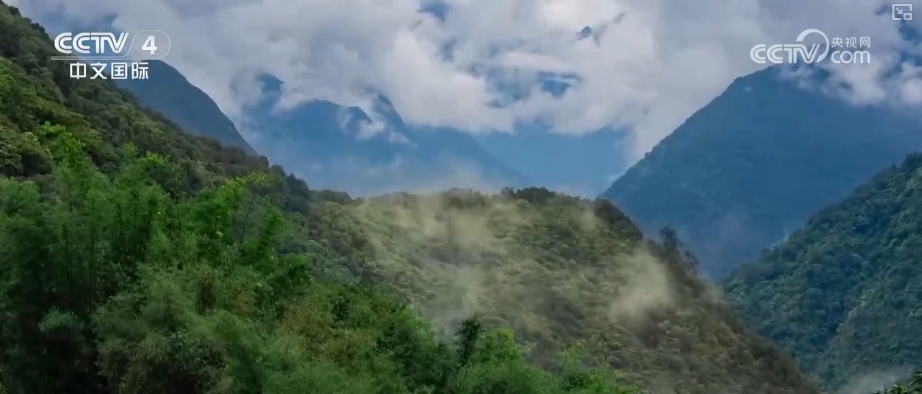 “公路一通天地宽”！墨脱新生代用互联网思维重写这片土地故事