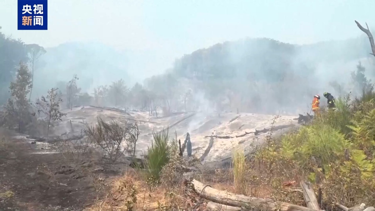 意大利维苏威火山游客线路因森林大火关闭 庞贝遗址仍开放