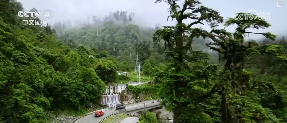 “公路一通天地宽”！墨脱新生代用互联网思维重写这片土地故事