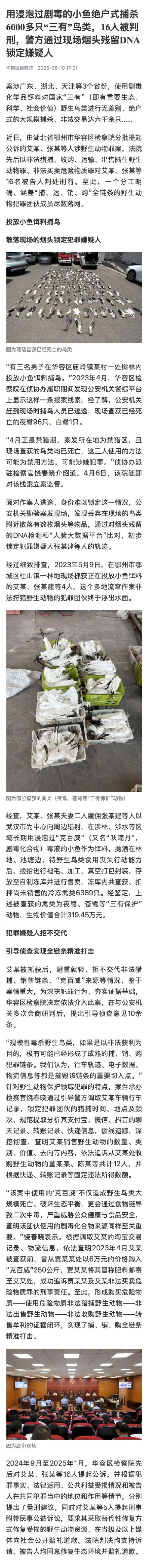 用浸泡剧毒小鱼捕杀6千只鸟16人获刑