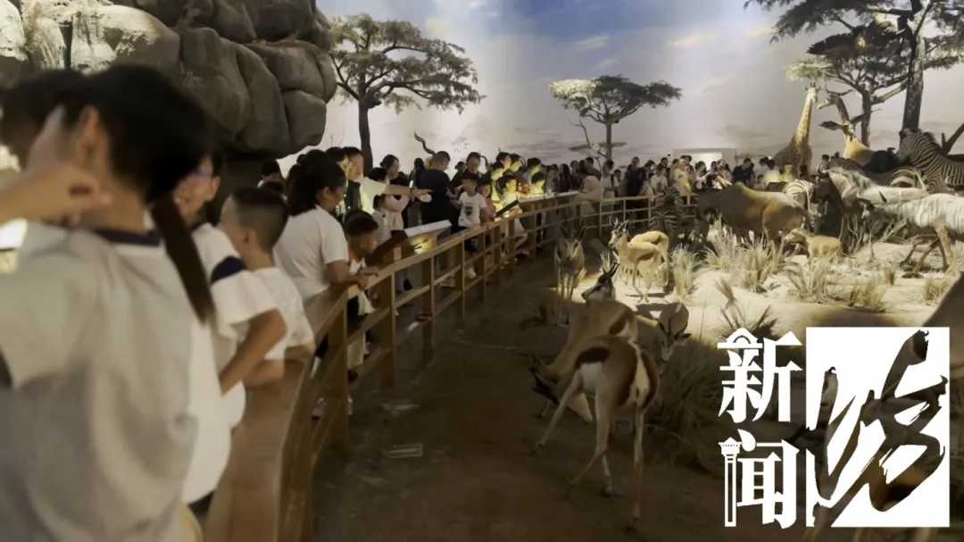 上海热门场馆太乱！多名儿童翻越禁区，家长在旁鼓励！志愿者：以前还有活体被摸死