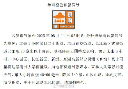 狂风暴雨一整晚！今早的武汉是这样的——