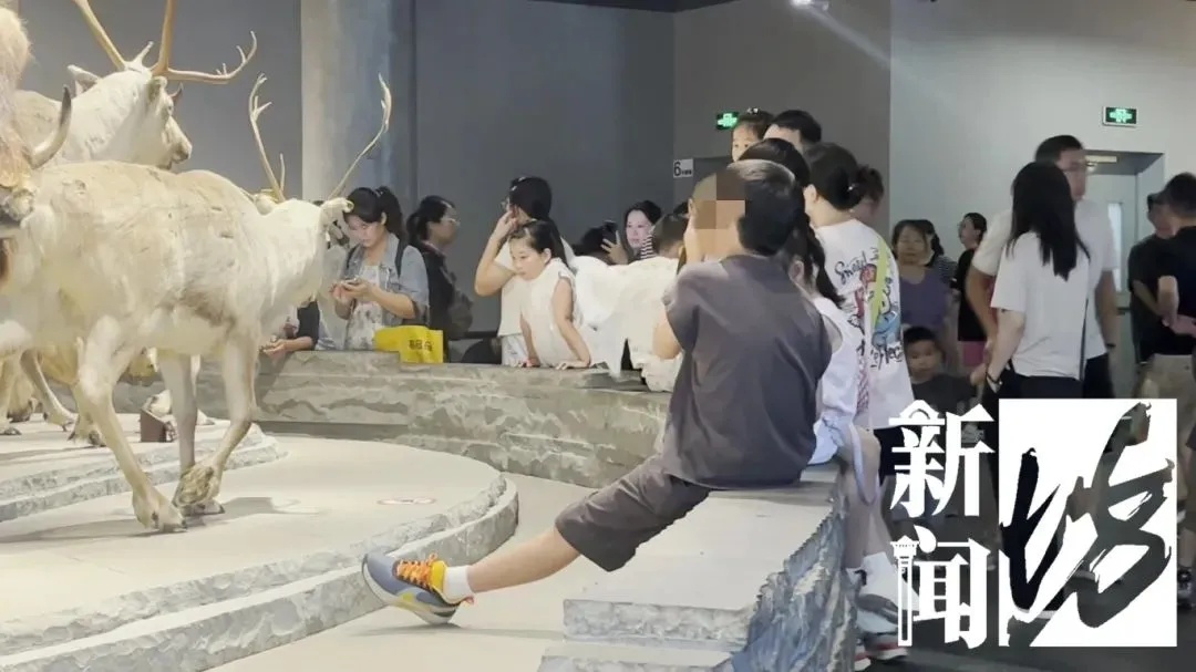 上海热门场馆现乱象！孩子翻越禁区摸标本，垃圾随地乱扔，曾有海星被摸死……