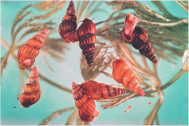 接触10秒即可感染！一旦出现这些症状，立即就医→