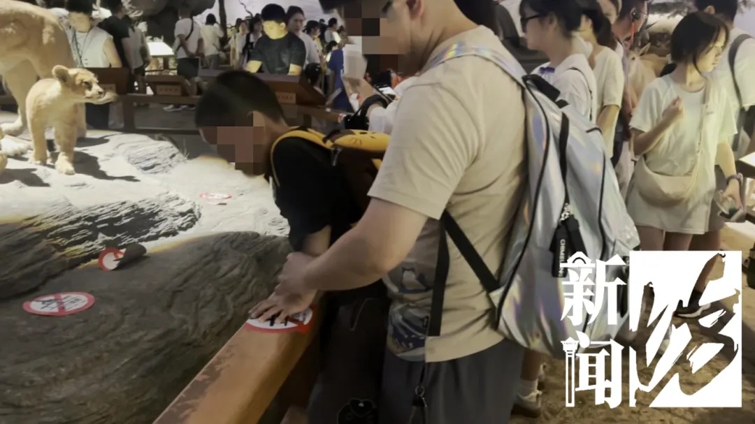 上海热门场馆太乱！多名儿童翻越禁区，家长在旁鼓励！志愿者：以前还有活体被摸死