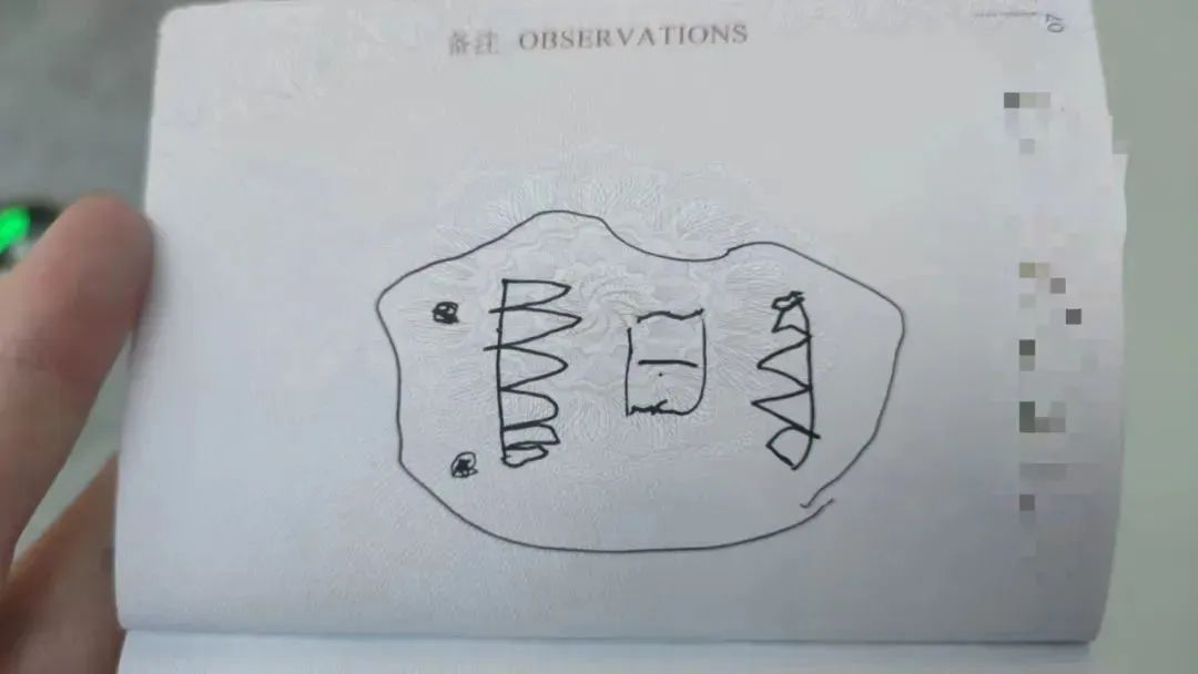 “怎么办？我儿子画了头猪……”