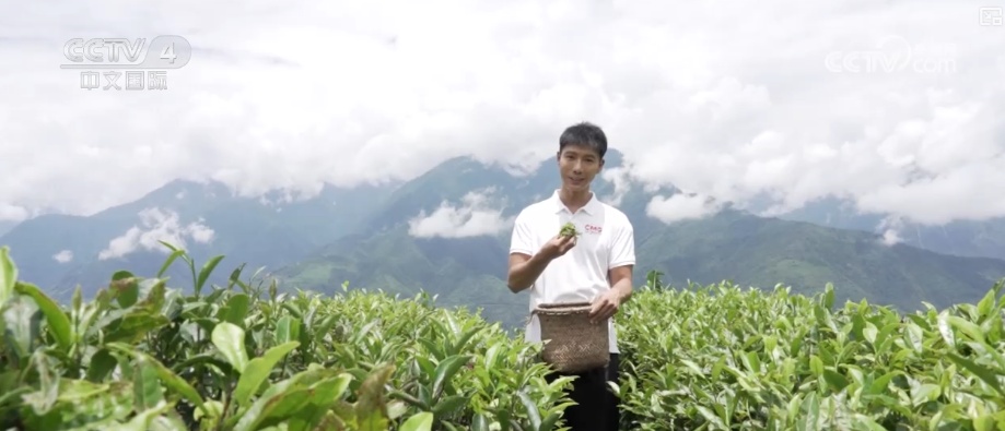 “公路一通天地宽”！墨脱新生代用互联网思维重写这片土地故事