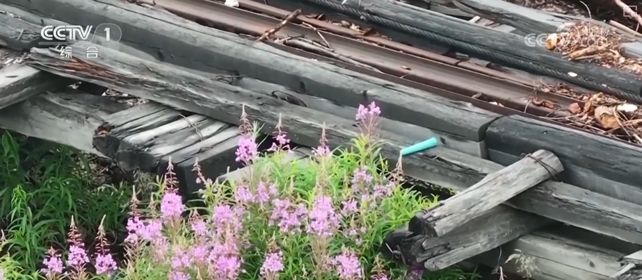 “生态家底”越来越厚 “致富路子”越走越宽