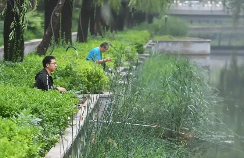 在北京钓鱼的年轻人：钓，我所欲也，鱼，非我所欲也