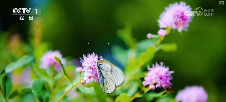 “生态家底”越来越厚 “致富路子”越走越宽