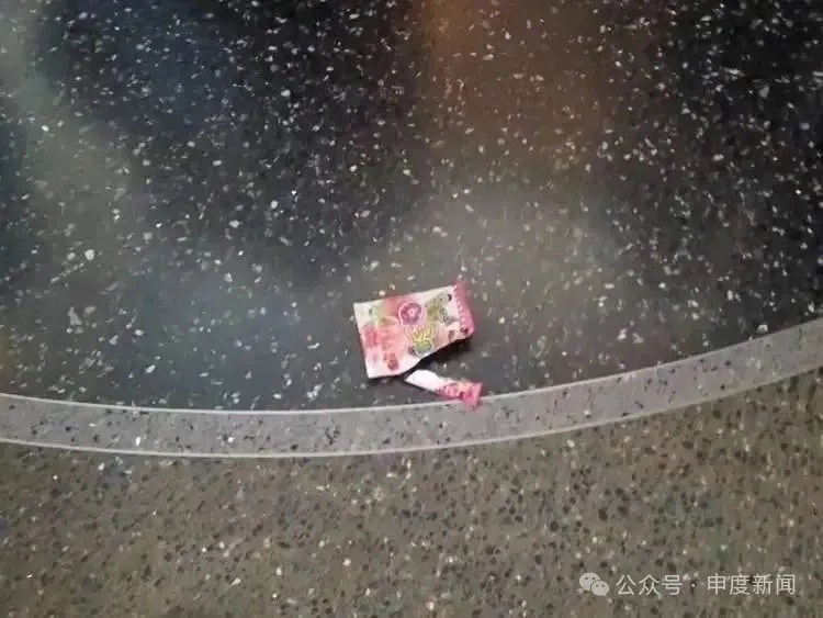 上海热门场馆现乱象！孩子翻越禁区摸标本，垃圾随地乱扔，曾有海星被摸死……