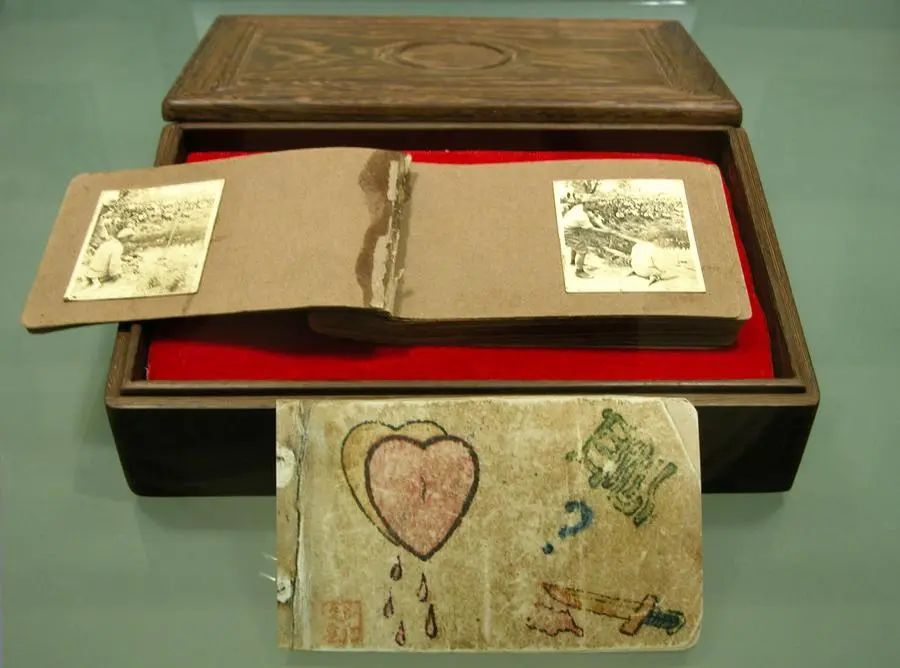 《南京照相馆》背后的历史：两位青年冒死传递“血证”相册！