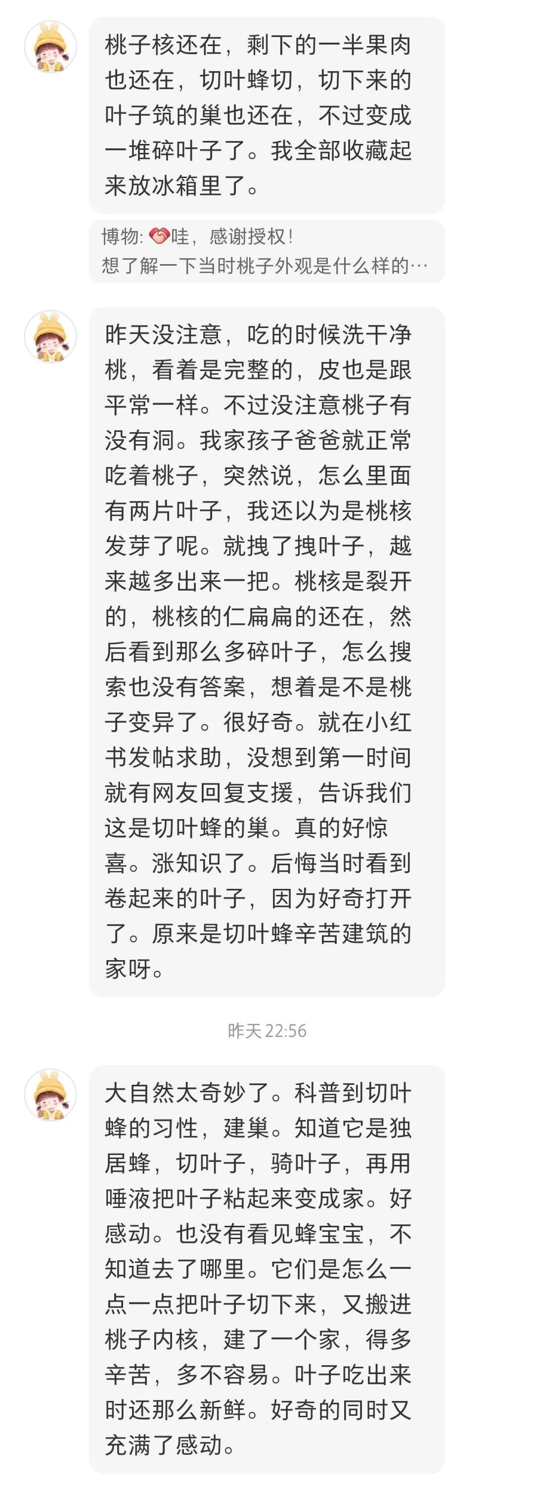 咬开桃子发现一堆树叶？莫慌！你是遇到了它→