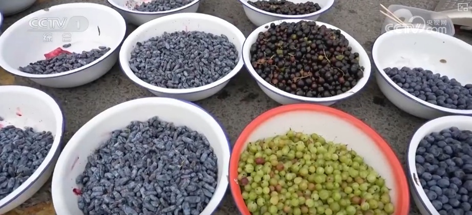 “生态家底”越来越厚 “致富路子”越走越宽