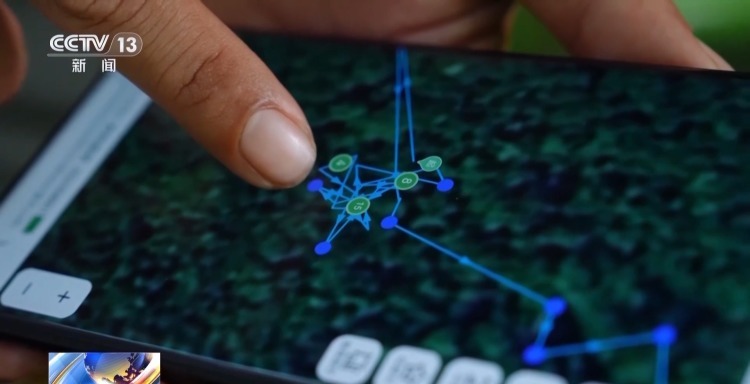主动帮“然然家族”母象带娃 放归网红象“阿宝”动态更新