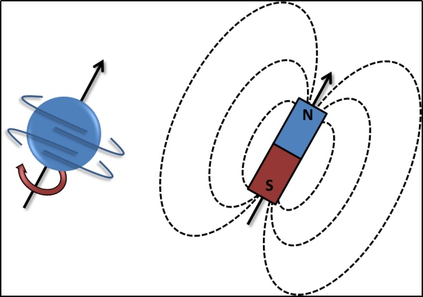 避免事故，了解原理，避开误区——去医院做核磁共振先看这份科普指南