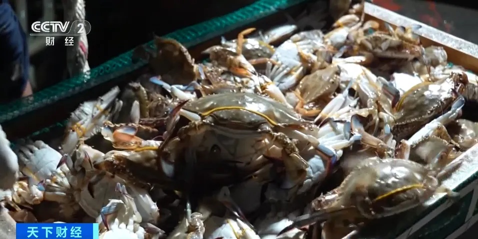 大降价!近期大量上市,很多人都好这一口 大降价!近期大量上市,很多人都好这一口