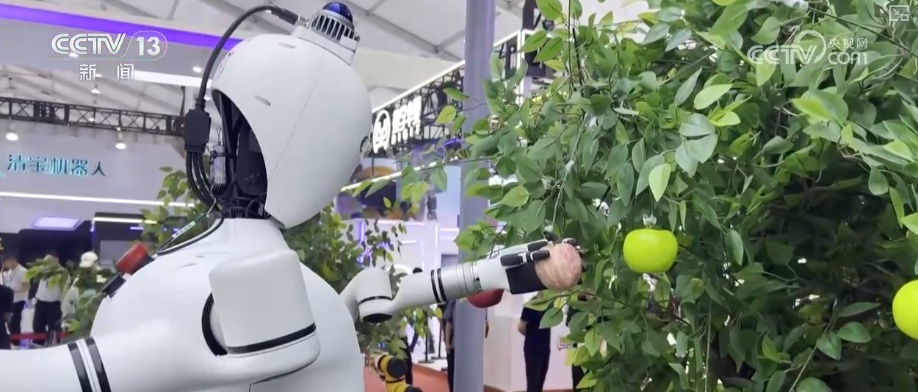 精巧插槽、柔顺分拣、灵活搬运……自主精准操作成亮点！人形机器人“巧手出细活”