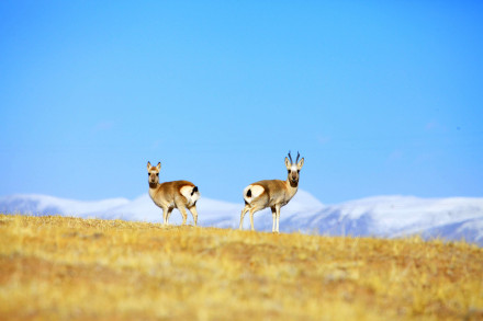 首批5个国家公园全部拥有了户口本