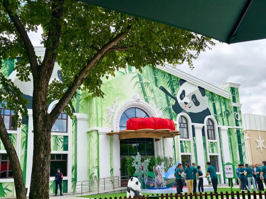 排面拉满！大熊猫“芝士”“芝麻”抵哈，水门礼迎国宝开启新生活
