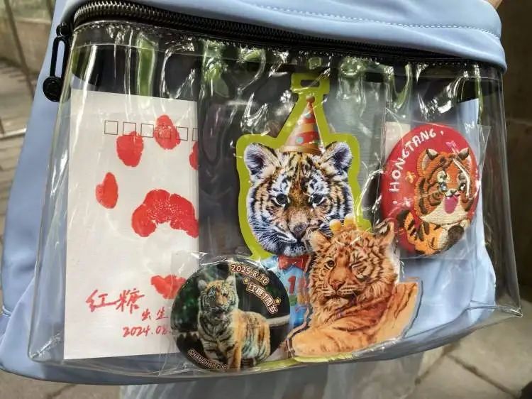 “红糖”生日会在上海动物园举行！粉丝6点就到抢占拍照C位，还有粉丝自制周边送游客