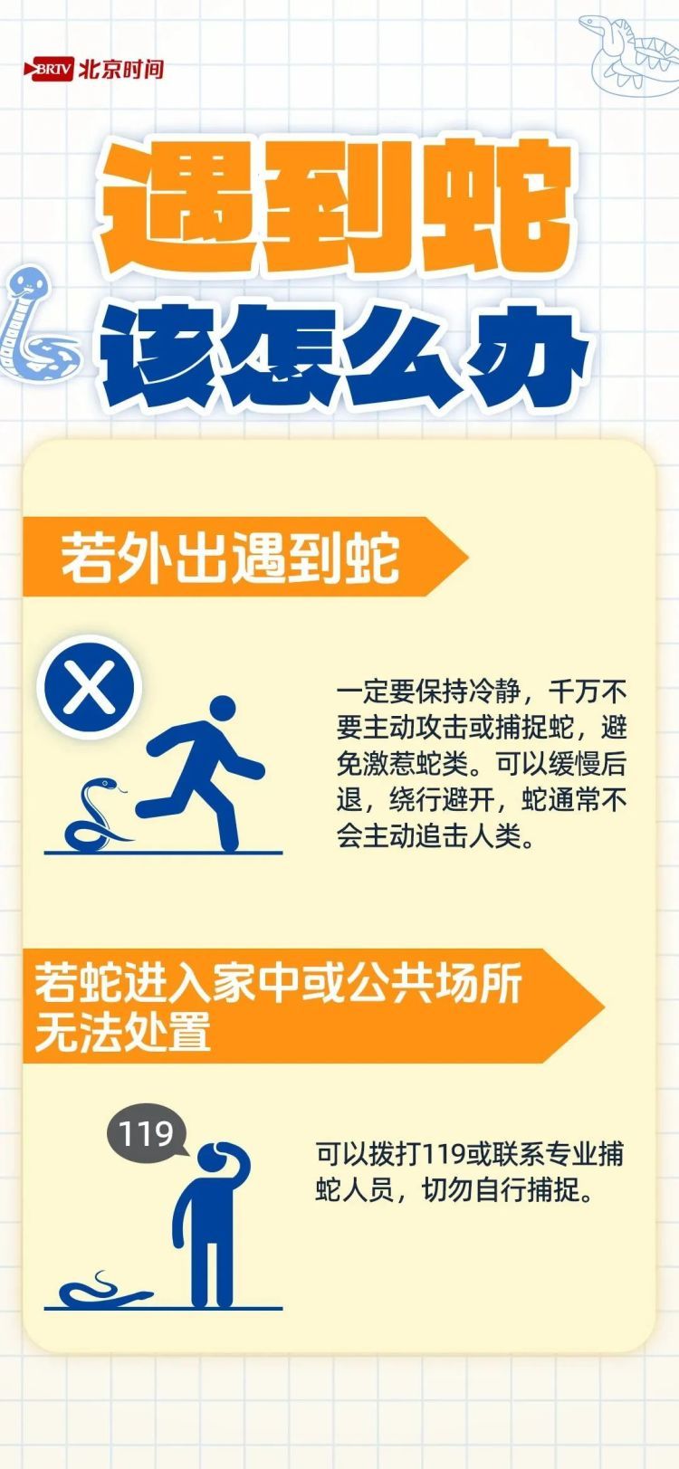 别抬头！长约2米的蟒蛇“从天而降”，落地瞬间惊呼声四起