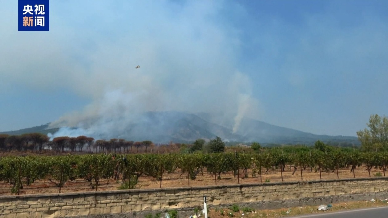 意大利维苏威火山游客线路因森林大火关闭 庞贝遗址仍开放