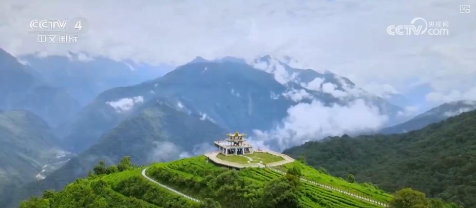 “公路一通天地宽”！墨脱新生代用互联网思维重写这片土地故事