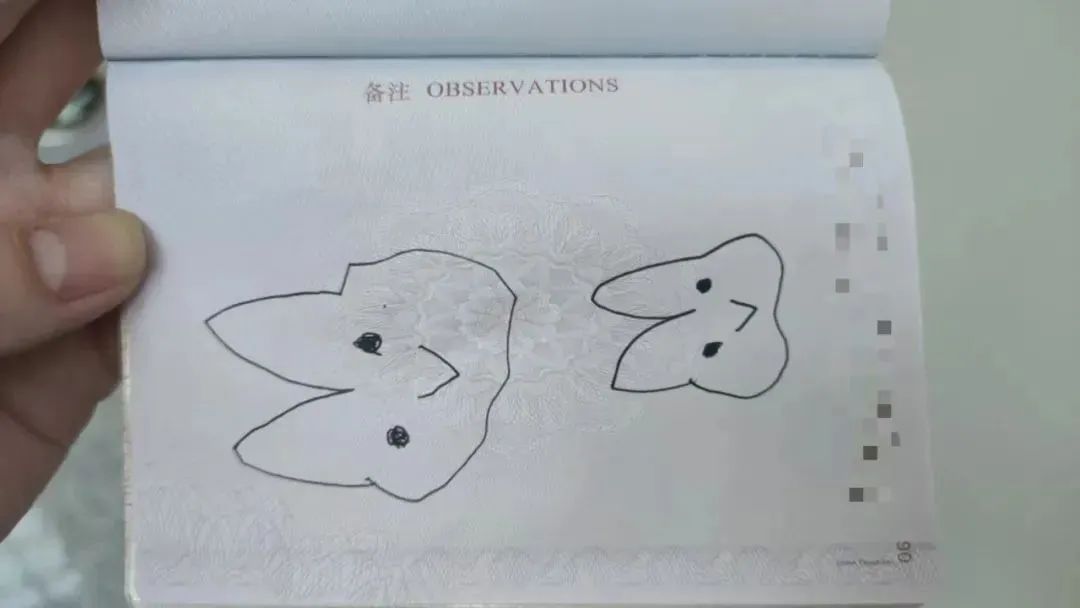 “怎么办？我儿子画了头猪……”