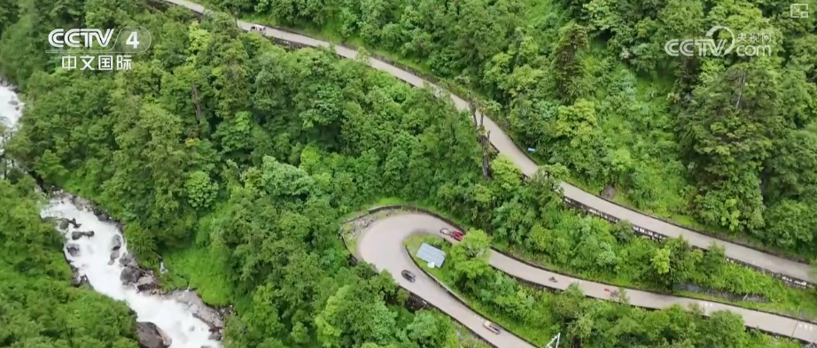 “公路一通天地宽”！墨脱新生代用互联网思维重写这片土地故事