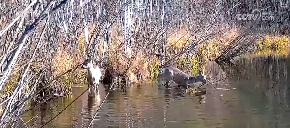 “生态家底”越来越厚 “致富路子”越走越宽