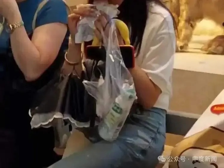 上海热门场馆现乱象！孩子翻越禁区摸标本，垃圾随地乱扔，曾有海星被摸死……