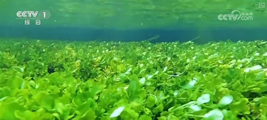 “生态家底”越来越厚 “致富路子”越走越宽