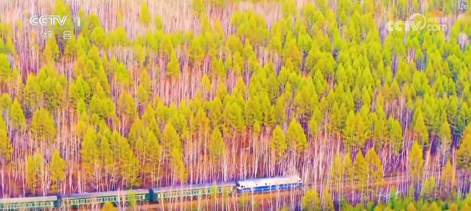 “生态家底”越来越厚 “致富路子”越走越宽