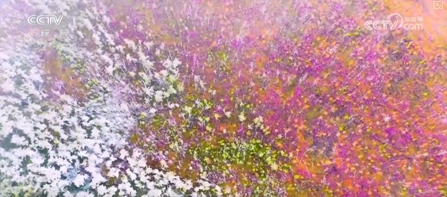 “生态家底”越来越厚 “致富路子”越走越宽