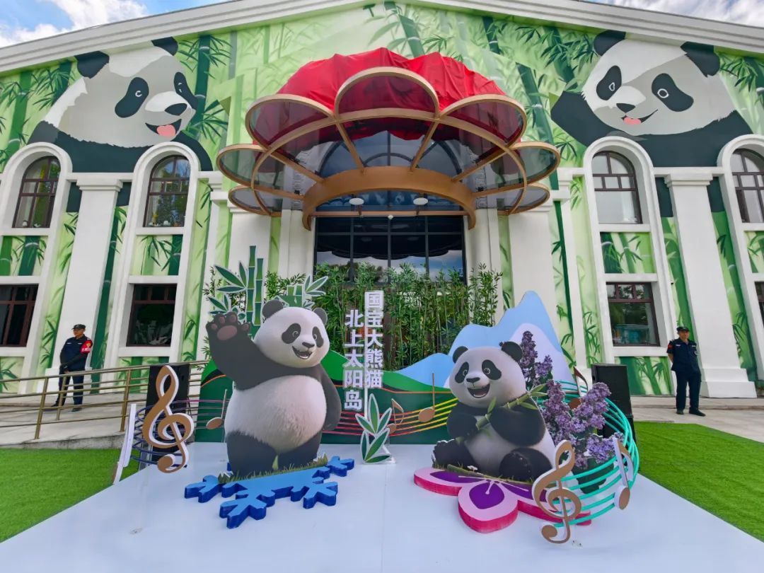 排面拉满！大熊猫“芝士”“芝麻”抵哈，水门礼迎国宝开启新生活