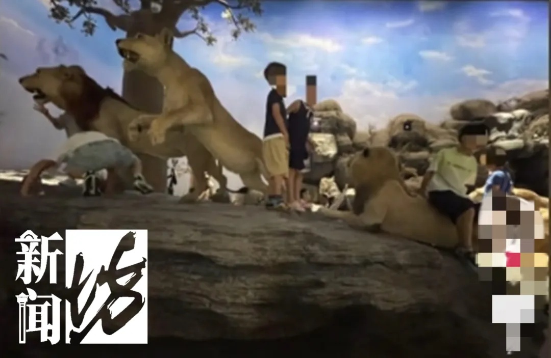 上海热门场馆太乱！多名儿童翻越禁区，家长在旁鼓励！志愿者：以前还有活体被摸死