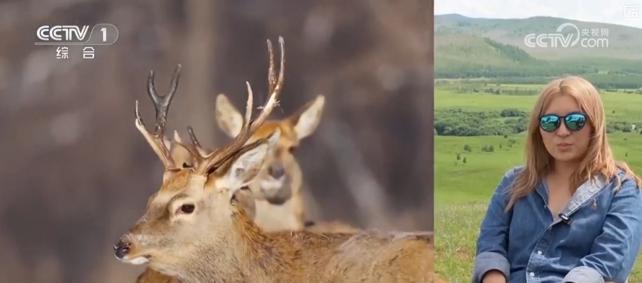 “生态家底”越来越厚 “致富路子”越走越宽