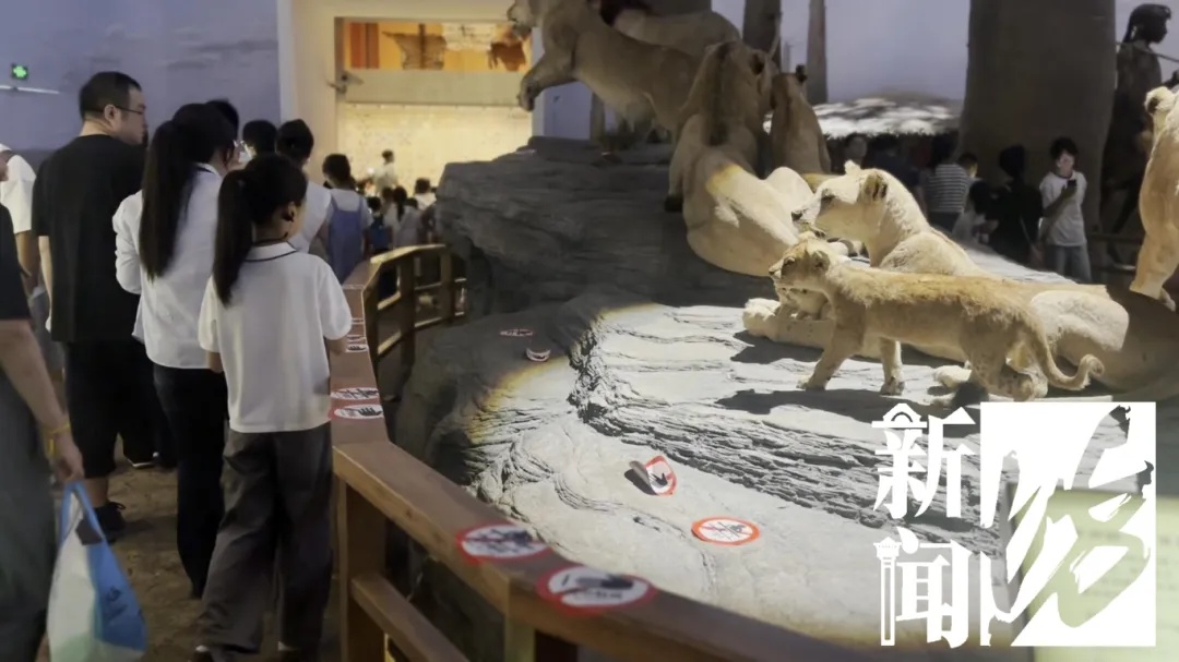 上海热门场馆太乱！多名儿童翻越禁区，家长在旁鼓励！志愿者：以前还有活体被摸死