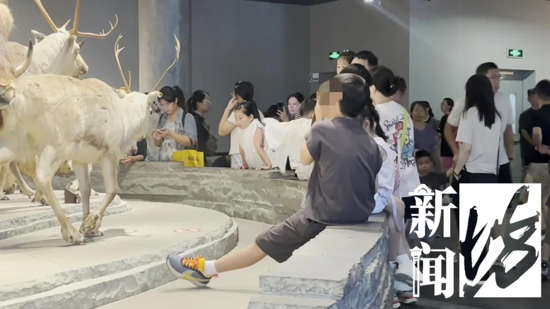 上海热门场馆太乱！多名儿童翻越禁区，家长在旁鼓励！志愿者：以前还有活体被摸死