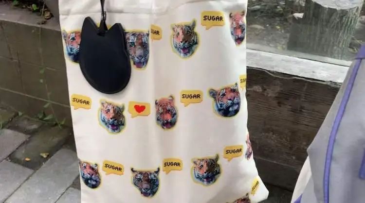 “红糖”生日会在上海动物园举行！粉丝6点就到抢占拍照C位，还有粉丝自制周边送游客