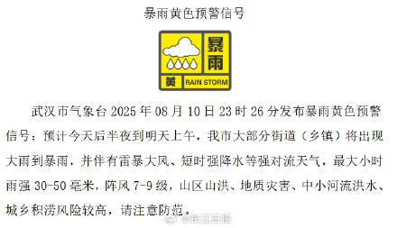 狂风暴雨一整晚！今早的武汉是这样的——