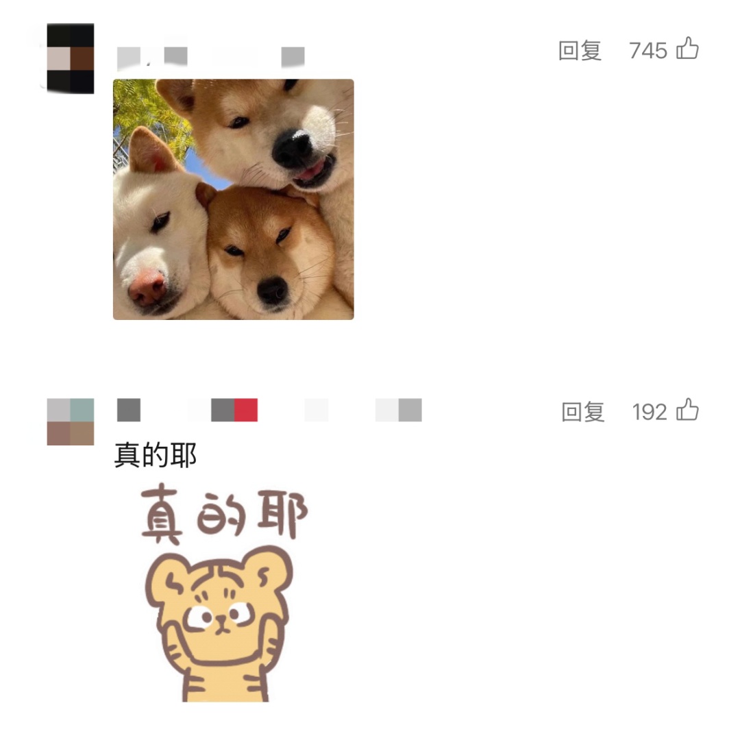 微信新功能,终于来了 微信新功能,终于来了