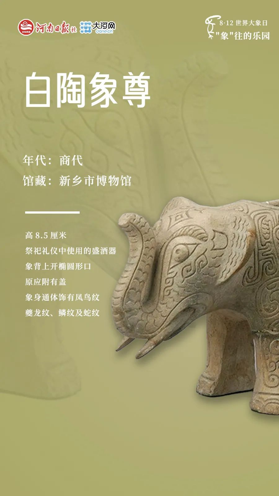 河南，曾是“象”往的乐园