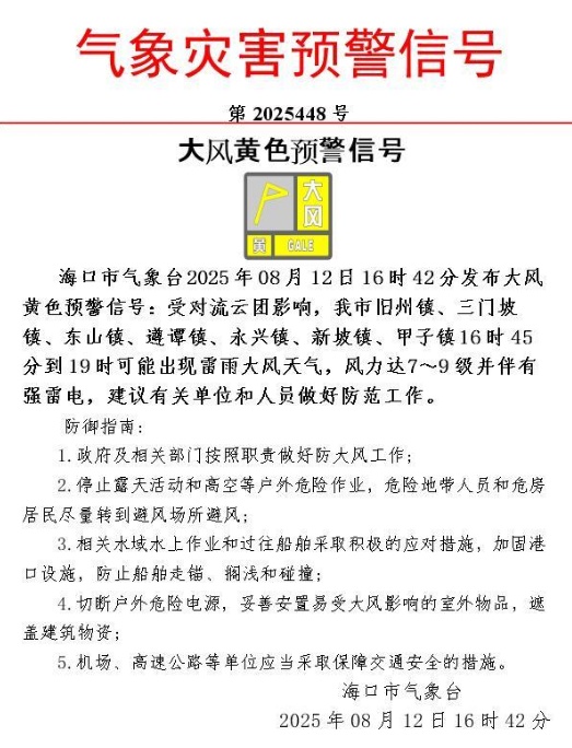暴雨橙色+大风黄色！海口发布预警信号