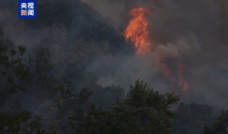 阿尔巴尼亚森林火灾持续 超20人因蓄意纵火被捕 阿尔巴尼亚森林火灾持续 超20人因蓄意纵火被捕